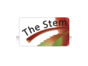The Stem Group