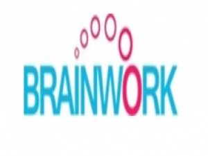Brainwork.in - Digital Marketing Agency 