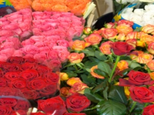 Kinsch Floral Market LLC