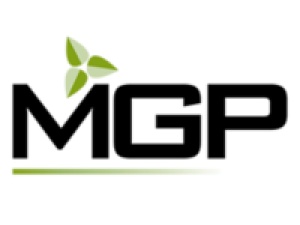 MGP Website Designs