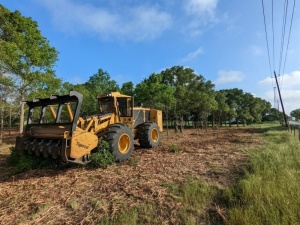 North Georgia Land Clearing