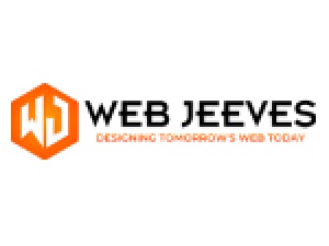Professional Website Design Solution - Web Jeeves