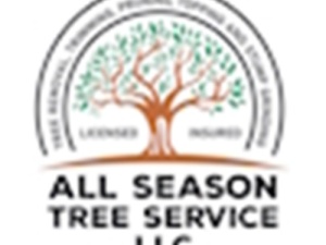 All Season Tree Service LLC