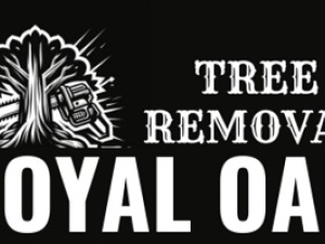 Tree Removal Royal Oak