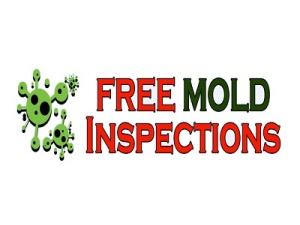 MOLD REMOVAL TORONTO LTD