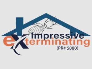 Impressive exterminating Termite & Pest control