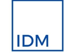 Idm Consulting