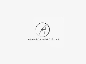 ALAMEDA MOLD GUYS