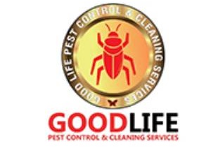 Effective Ants Pest Control Solutions by Good Life