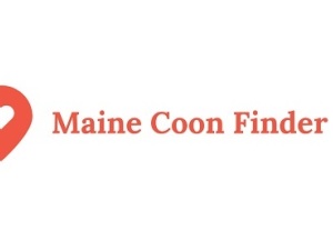 Maine Coon Finder