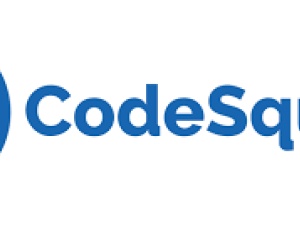 CodeSquadz-Best IT Training Institute