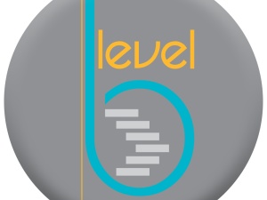 Level B Inc