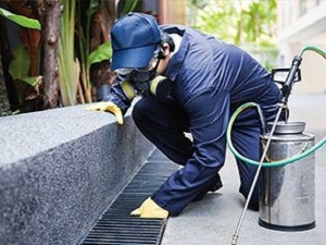 Sydney Pest Extermination - Bug Free Pest Control