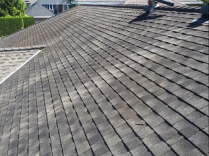Valley View Roofing And Cleaning Solutions