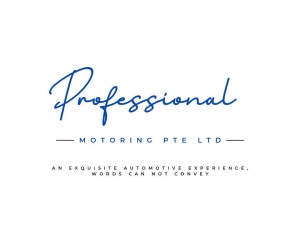 Professional Motoring Pte Ltd