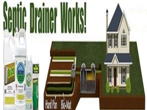 Septic Drainer