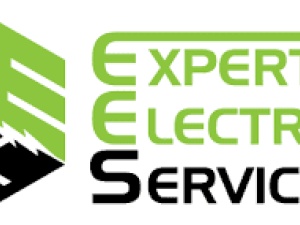 Expert Electrical Services