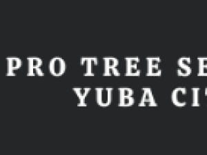 Protree Service Yubacity