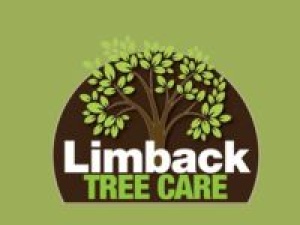 Limback-Tree- Services-LLC Mastering The Art Of Tr