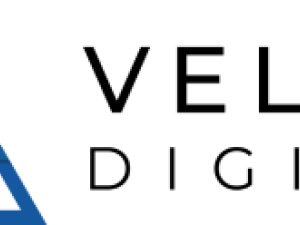 Veltio | Toronto Digital Marketing Agency, Revenue