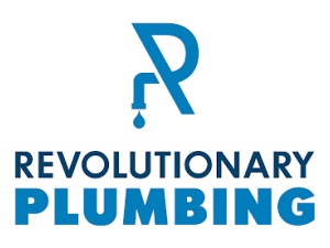 Revolutionary Plumbing