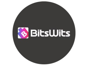 BitsWits-Enterprise App Solutions Expertises 