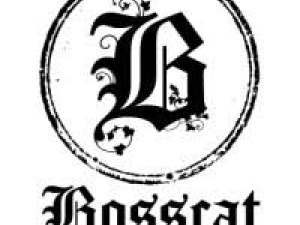 BOSSCAT KITCHEN & LIBATIONS - HOUSTON