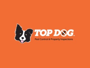 Gold Coast Pest Control | Topdogpestcontrol.com.au