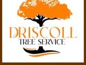 Driscoll Tree Service