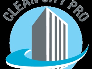 Clean City Pro