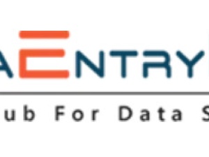 Data Entry, Data Management Services, Web Scrappin