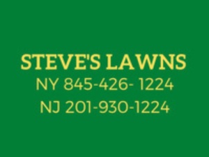 Steve's Lawns Inc