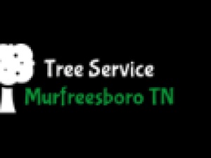 Murfreesboro TN Tree Service