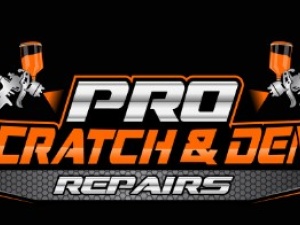 Pro Scratch and Dent Repairs