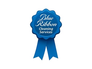 Blue Ribbon Cleaning Services