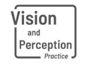 Vision & Perception Practice (Vision Therapy Singa