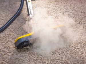 Scottsdale AZ Carpet Cleaner