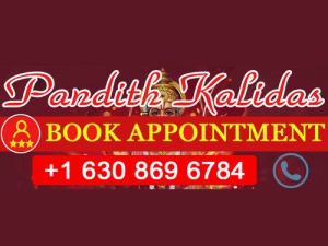 Pandit Kalidas - Famous Astrologer in Illinois