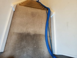 Capital Carpet Cleaners