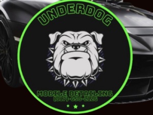 Underdog Mobile Detail