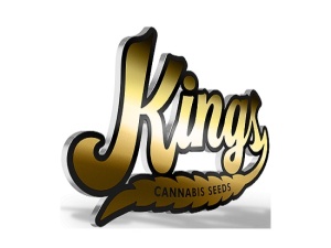 Kings Seedbank