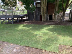 Turf Laying Dee Why - Northern Beaches Garden