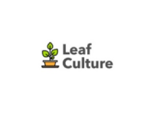 Explore Leaf Culture's wide range of high-quality