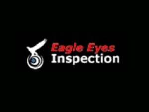 EAGLE EYES - China factory inspectio