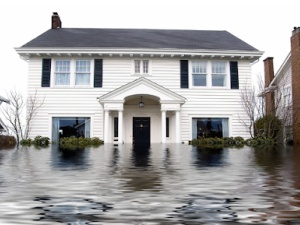 911 Water Damage Experts