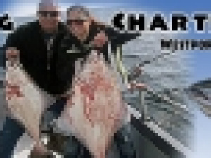 Fishing Charters