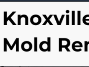 Best Mold Removal Knoxville