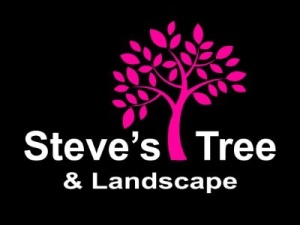 Steve's Tree and Landscape