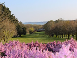 Courtown Golf Club