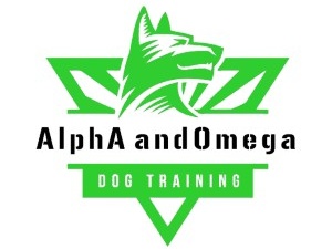 Alpha And Omega Dog Training